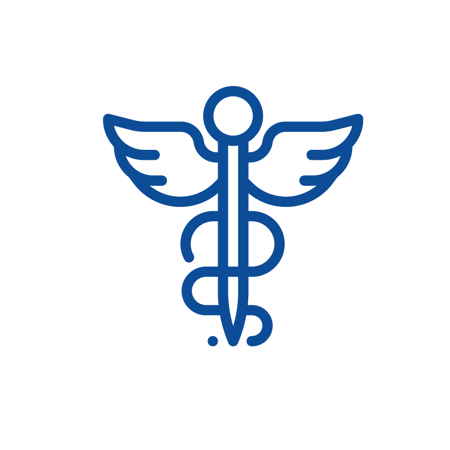 Wings on pin icon