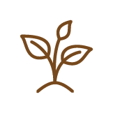 stem icon