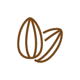 sunflower seeds icon