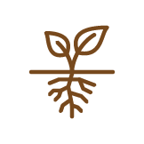 roots icon
